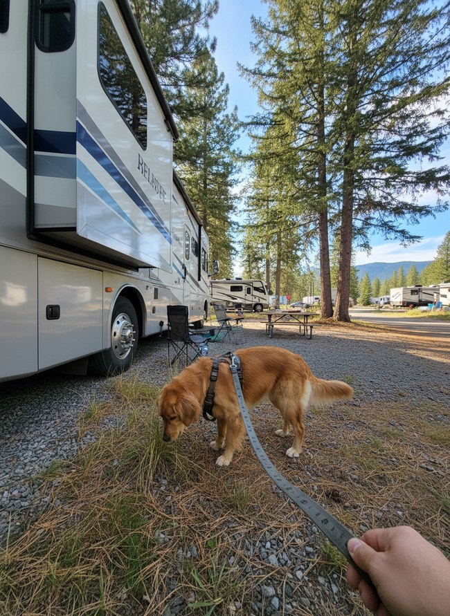 Exploration On Leash